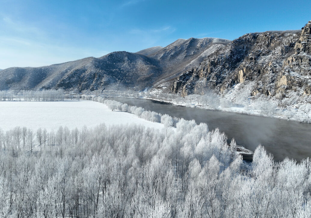 雾凇美景惹人醉