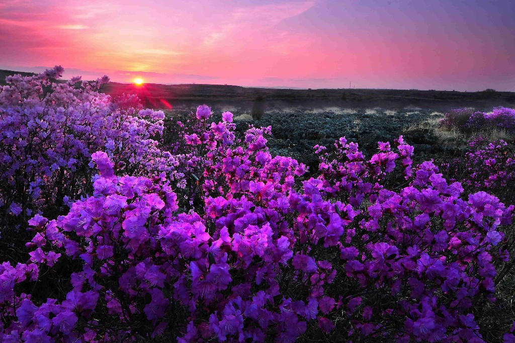 森林→渤海上京龙泉府遗址→玄武湖风景区→小朱家村→沙兰镇推荐理由